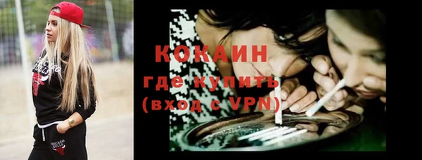 прущие грибы Корсаков