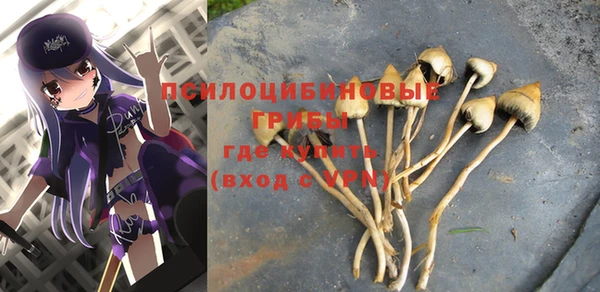 дурь Лагань