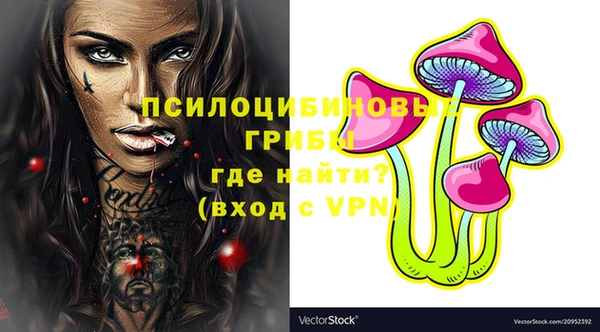 дурь Лагань