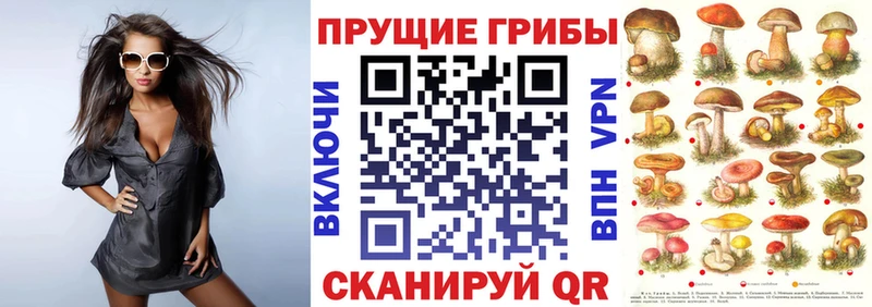 даркнет состав  kraken ТОР  Красноуральск  дарнет шоп  Псилоцибиновые грибы Psilocybine cubensis 